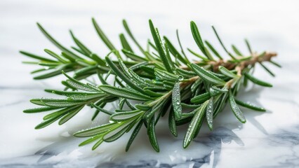 Fototapeta premium Fresh rosemary sprig resting on a marble surface in a bright kitchen setting