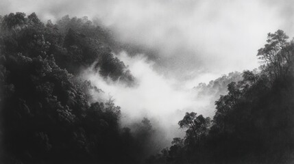 Fototapeta premium Misty mountain valley, shrouded in fog, serene landscape, nature photography, tranquil scene