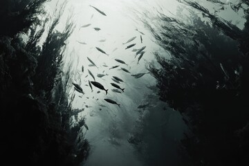 A school of fish swims through a dark, kelp-filled underwater canyon, sunlight barely penetrating the depths.