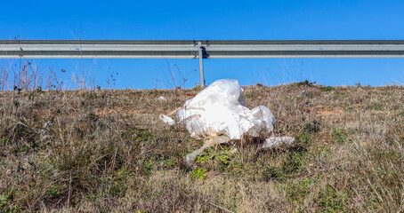 Plastics and other products dumped as litter and debris in roadside ditches