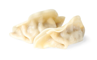 Tasty boiled gyoza (dumplings) isolated on white