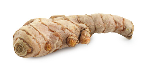 One fresh turmeric root isolated on white
