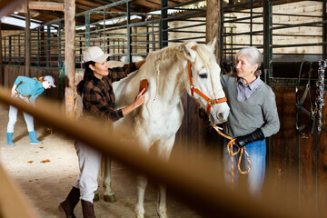 Young Asian and European senior women brushing white horse in barn.