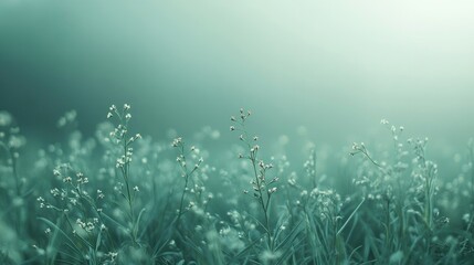A soft green gradient wallpaper with a gentle, natural aesthetic perfect for relaxation