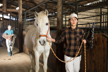 Asian woman horse holder leading white horse in stabling.