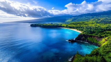 Fototapeta premium Aerial View of Stunning Coastal Landscape with Lush Greenery and Blue Waters