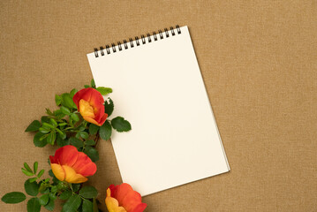 Rosehip flowers with empty notebook on fabric background. Flat lay, top view. Copy space