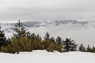 Snow-capped mountains and pine forest (Greece, Epirus) on a winter, snowy day
