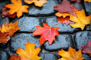 Vibrant autumn leaves in shades of red and orange rest on wet cobblestones.