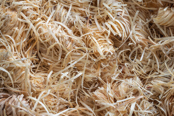 Ecological kindling for stove, fireplace, grill, and campfire