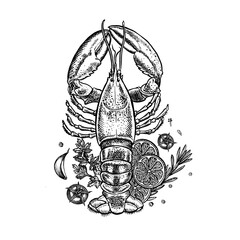 Lobster with lemon, herbs and vegetables. A hand-drawn vector graphic illustration. Black and white image of seafood. Separate from the background. Suitable for menus, recipe books, packages, labels.