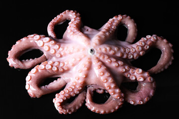 One fresh raw octopus on black background © New Africa