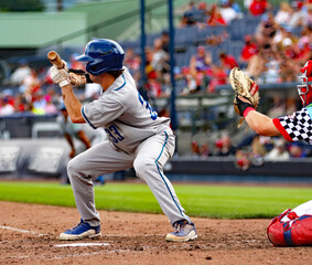 #33 baseball player bunting