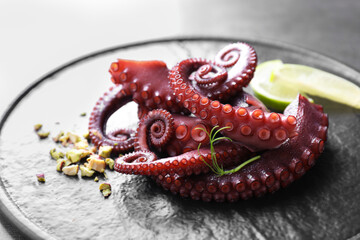 Tasty boiled octopus tentacles, microgreens, nuts and lime on grey table, closeup