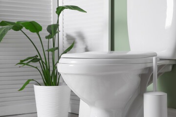 Folding screen, toilet bowl and houseplant in restroom, closeup