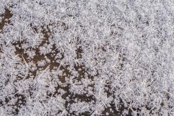 Snowflakes on the frozen ground. Winter background