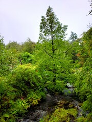 Dunvegan Castle & Gardens
