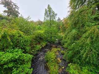 Dunvegan Castle & Gardens