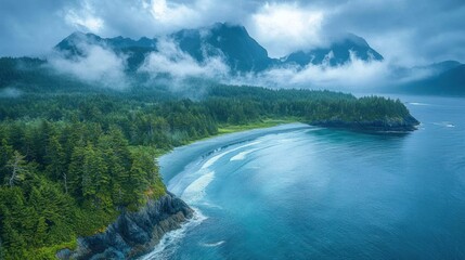 Aerial view of a serene coastline with a lush forest and misty mountains