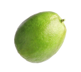 One fresh guava fruit isolated on white