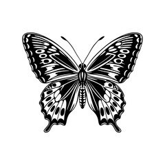 Beautiful butterfly Solid silhouette illustration with detailed wings in nature on a white background, black and white PNG