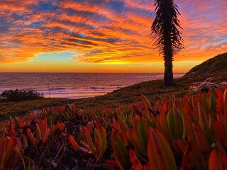 colorful sunset over beach 