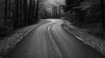 Winding asphalt road through a dark forest in monochrome.