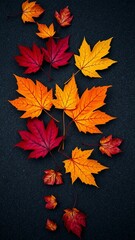 Autumn leaves in various shades of red orange and yellow arranged on a textured dark surface vertica