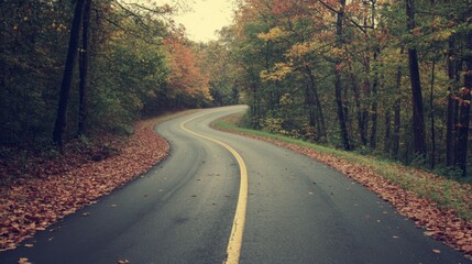 Obraz premium Winding road through autumn forest with fallen leaves.