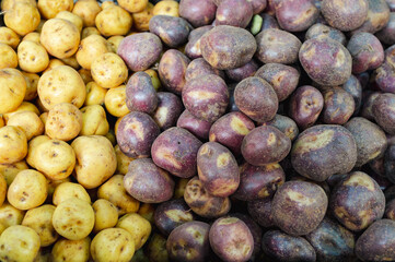 A colorful assortment of potatoes in various shapes and sizes, freshly harvested and ready for sale at a local farmers market