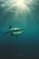 Fototapeta premium Great white shark in dark waters. Ocean apex predator. Marine life, shark. 