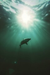 Obraz premium Great white shark in dark waters. Ocean apex predator. Marine life, shark. 