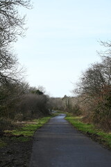 a walk on the granite way in Devon, a cycle route that was once a railway traveling though Dartmoor...