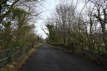 a walk on the granite way in Devon, a cycle route that was once a railway traveling though Dartmoor near Meldon