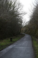 a walk on the granite way in Devon, a cycle route that was once a railway traveling though Dartmoor...