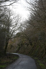 Fototapeta premium a walk on the granite way in Devon, a cycle route that was once a railway traveling though Dartmoor near Meldon