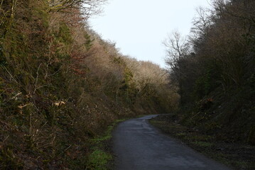 a walk on the granite way in Devon, a cycle route that was once a railway traveling though Dartmoor...