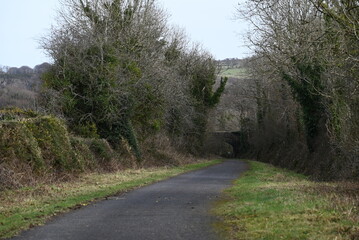 a walk on the granite way in Devon, a cycle route that was once a railway traveling though Dartmoor near Meldon