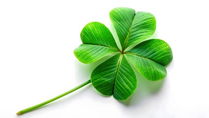Four-Leaf Clover on White Background