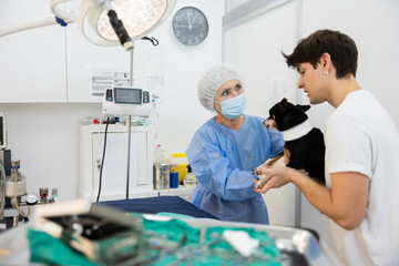 Fototapeta premium Elderly female veterinarian in surgical attire gently taking miniature pinscher with bandaged neck from owner hands, preparing to perform surgery in veterinary clinics operating room