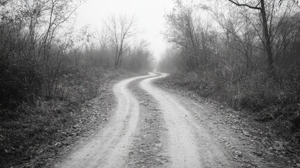 Obraz premium Winding dirt road disappearing into foggy forest.