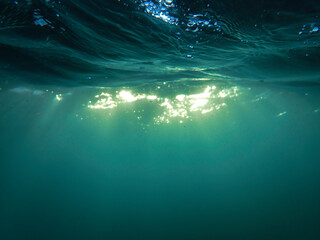 The sun shines through water, casting mottled light and shadow, intertwined with countless bubbles underwater, like a dance of light. Various aquatic plants sway gently in water in Mediterranean sea.