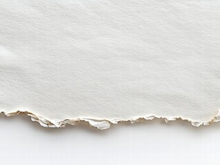 Torn Paper Texture - White Background