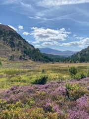 Cairngorms, Scotland