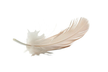 Obraz premium Floating White Feather Isolated on Transparent Background, Delicate and Soft With Graceful Curves, Symbolizing Purity and Lightness