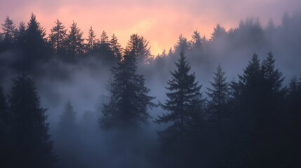 Naklejka premium Misty Forest Sunset Landscape