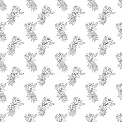 lily pattern 22.01.25-23