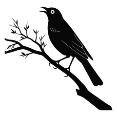 Vector silhouette bird on white background-5