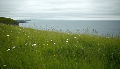 Coastal landscape with grass and sea water beach. Ocean horizon background.