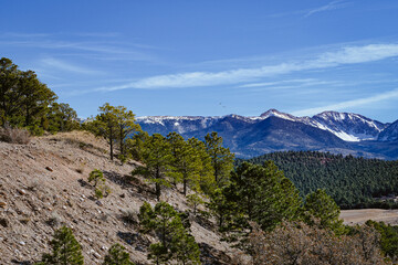 Obraz premium Mountain Landscape with Dense Forests and Snow-Capped Peaks